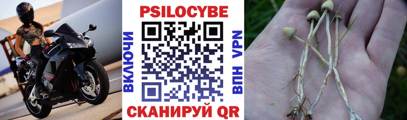 МЕГА сайт  где можно купить   Малая Вишера  Галлюциногенные грибы MAGIC MUSHROOMS 