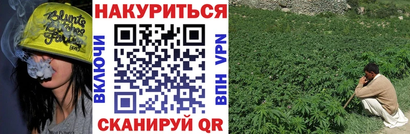 Бошки Шишки планчик  купить наркотик  Малая Вишера 